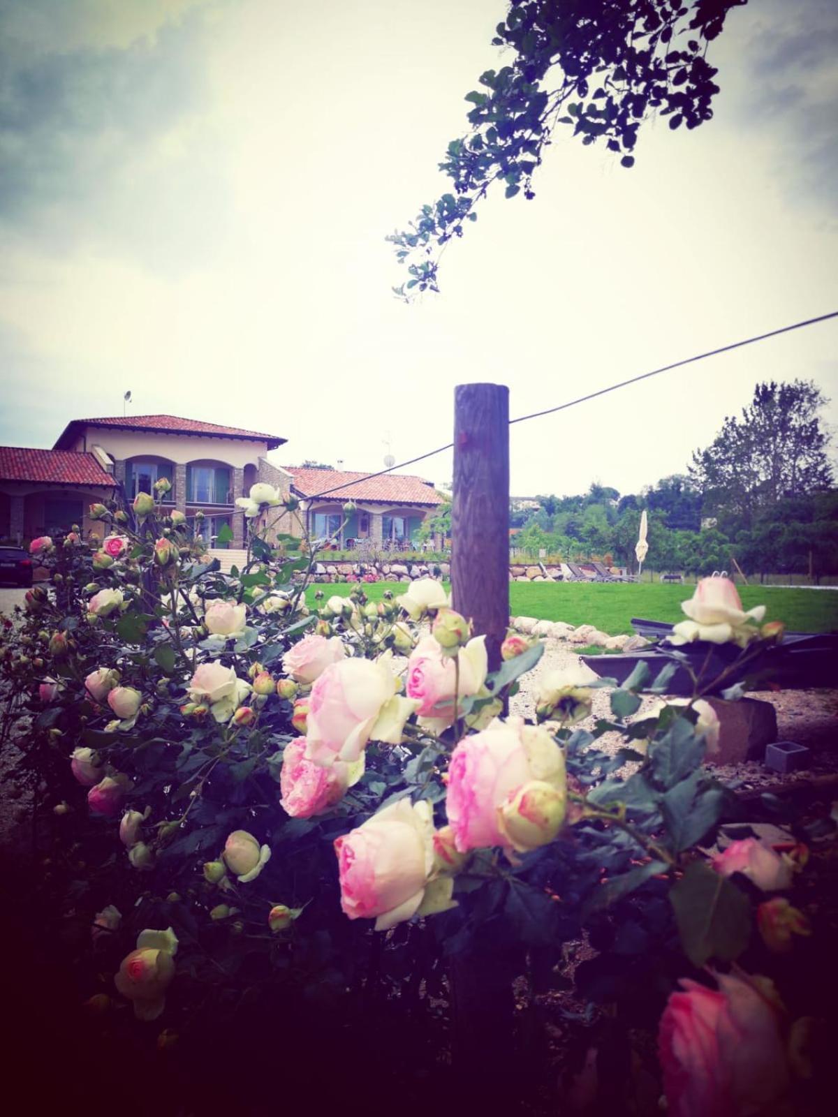 Orchidea Del Garda Rooms & Apartments Peschiera del Garda Kültér fotó